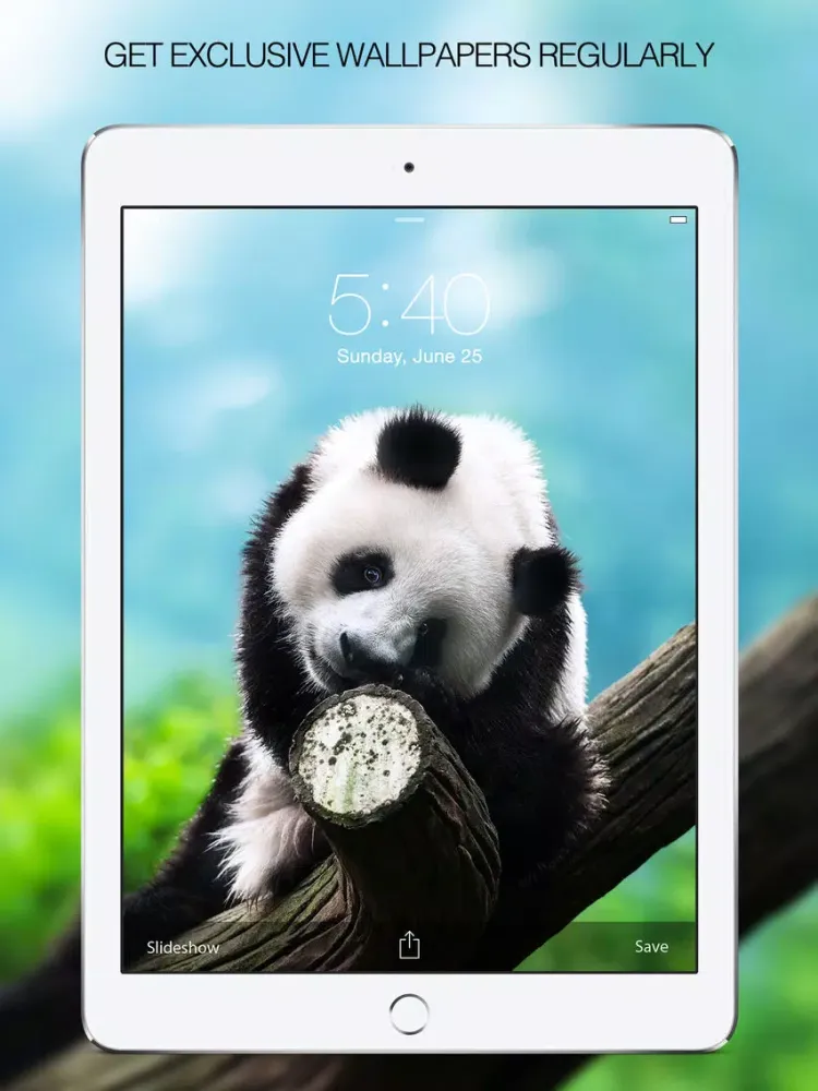 Capturas de tela do Panda Wallpapers – Panda Pictures & Panda Images iPad 