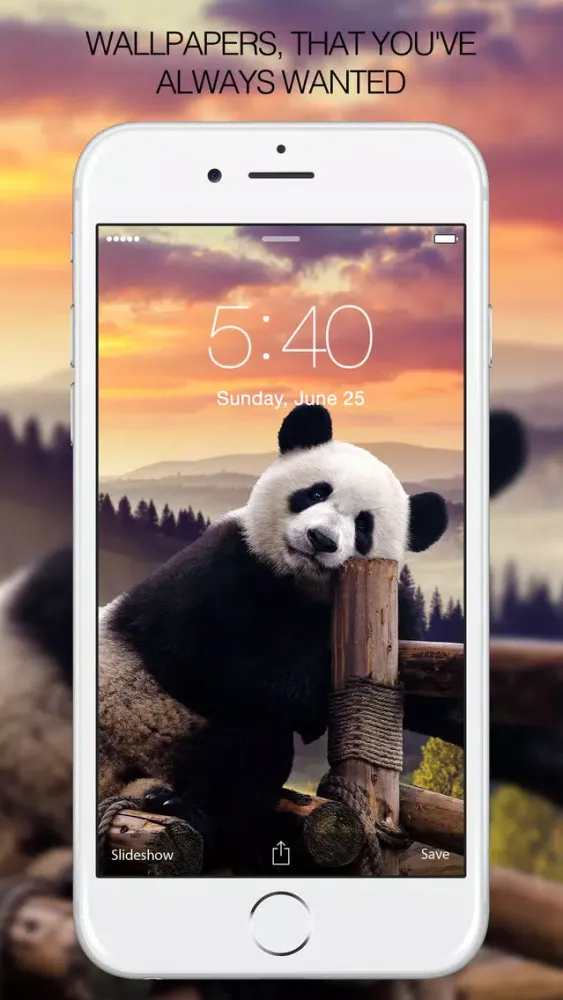 Capturas de tela do Panda Wallpapers – Panda Pictures & Panda Images