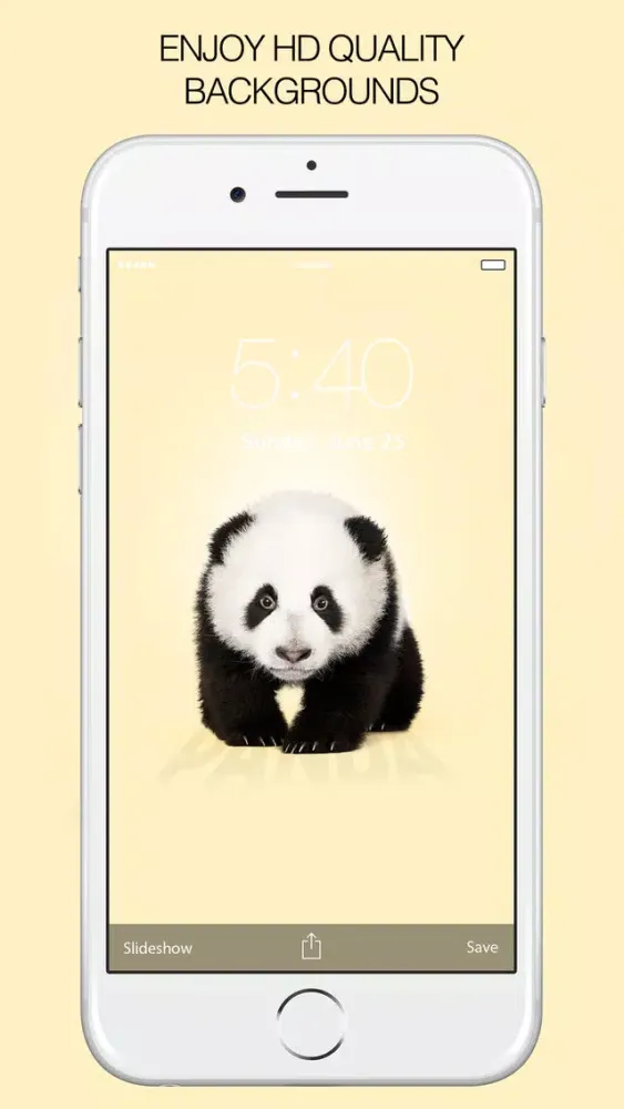 Capturas de tela do Panda Wallpapers – Panda Pictures & Panda Images
