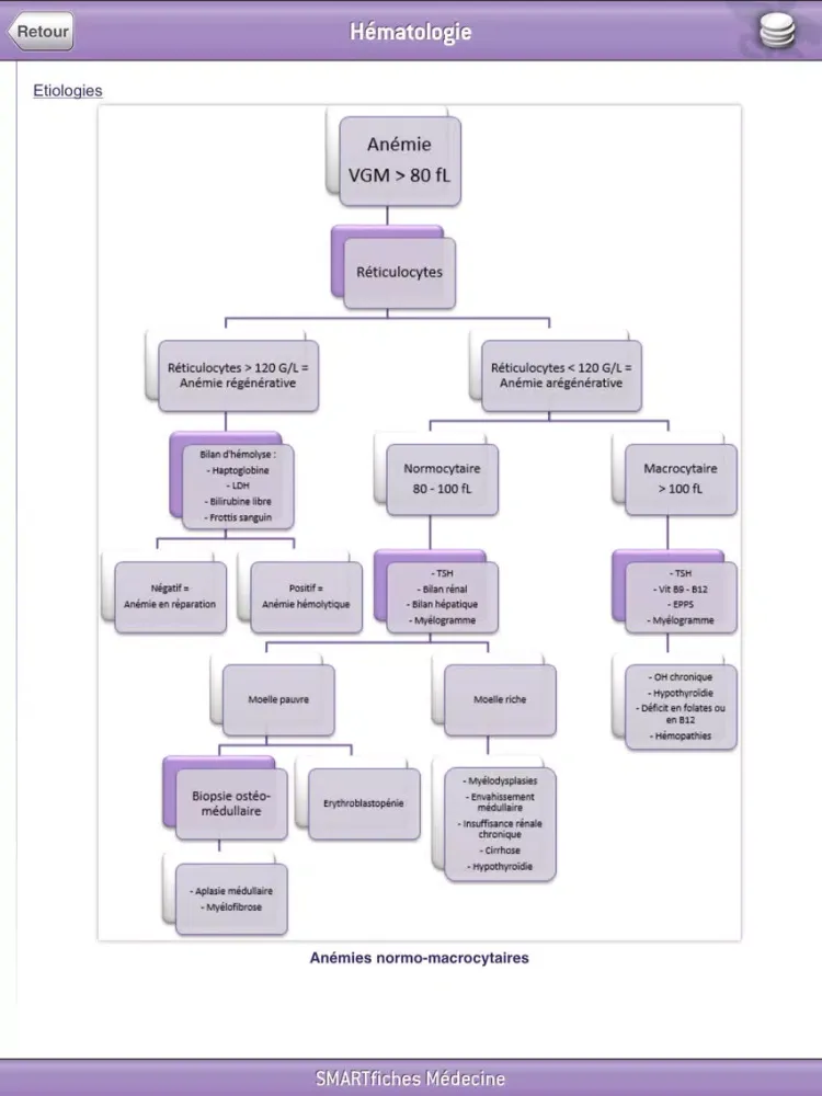 SMARTfiches Hématologie iPad  Screenshots