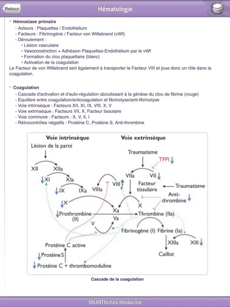 SMARTfiches Hématologie iPad  Screenshots