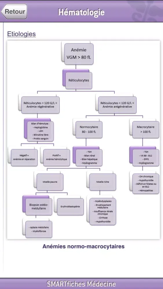 SMARTfiches Hématologie Screenshots