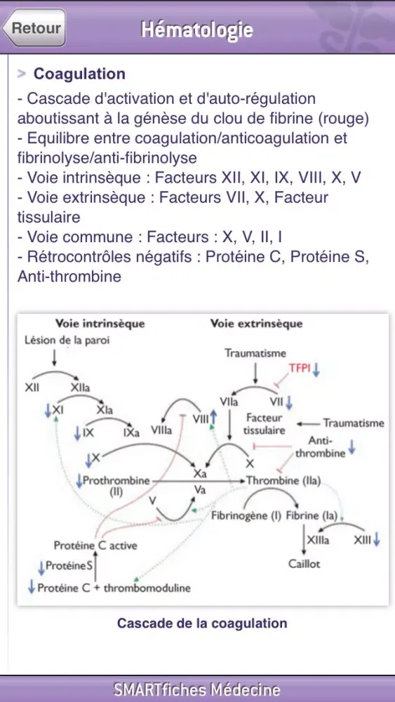SMARTfiches Hématologie Screenshots