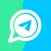 TeleTool: Dual WA Messenger