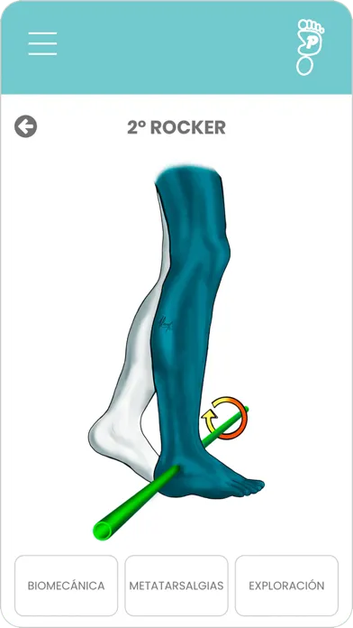 Pocket Foot and Ankle Screenshots