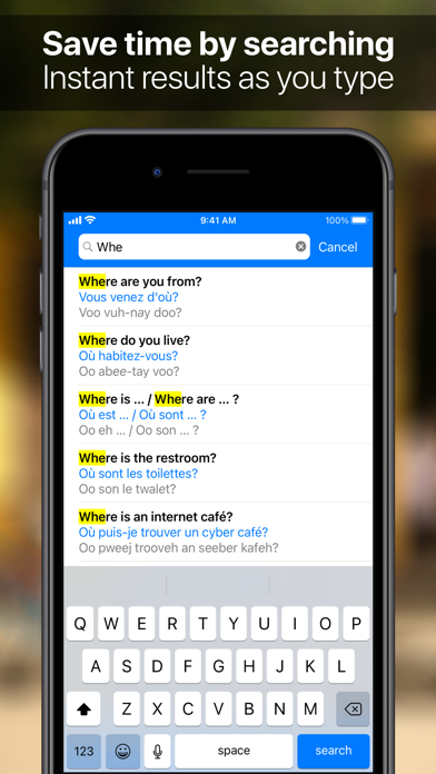SpeakEasy French Phrasebook स्क्रीनशॉट