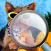 Find the Differences Cute and Furry Animal Adventures Edition for iPhone & iPod Touch