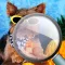 Find the Differences Cute and Furry Animal Adventures Edition for iPhone & iPod Touch