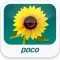 POCO照片