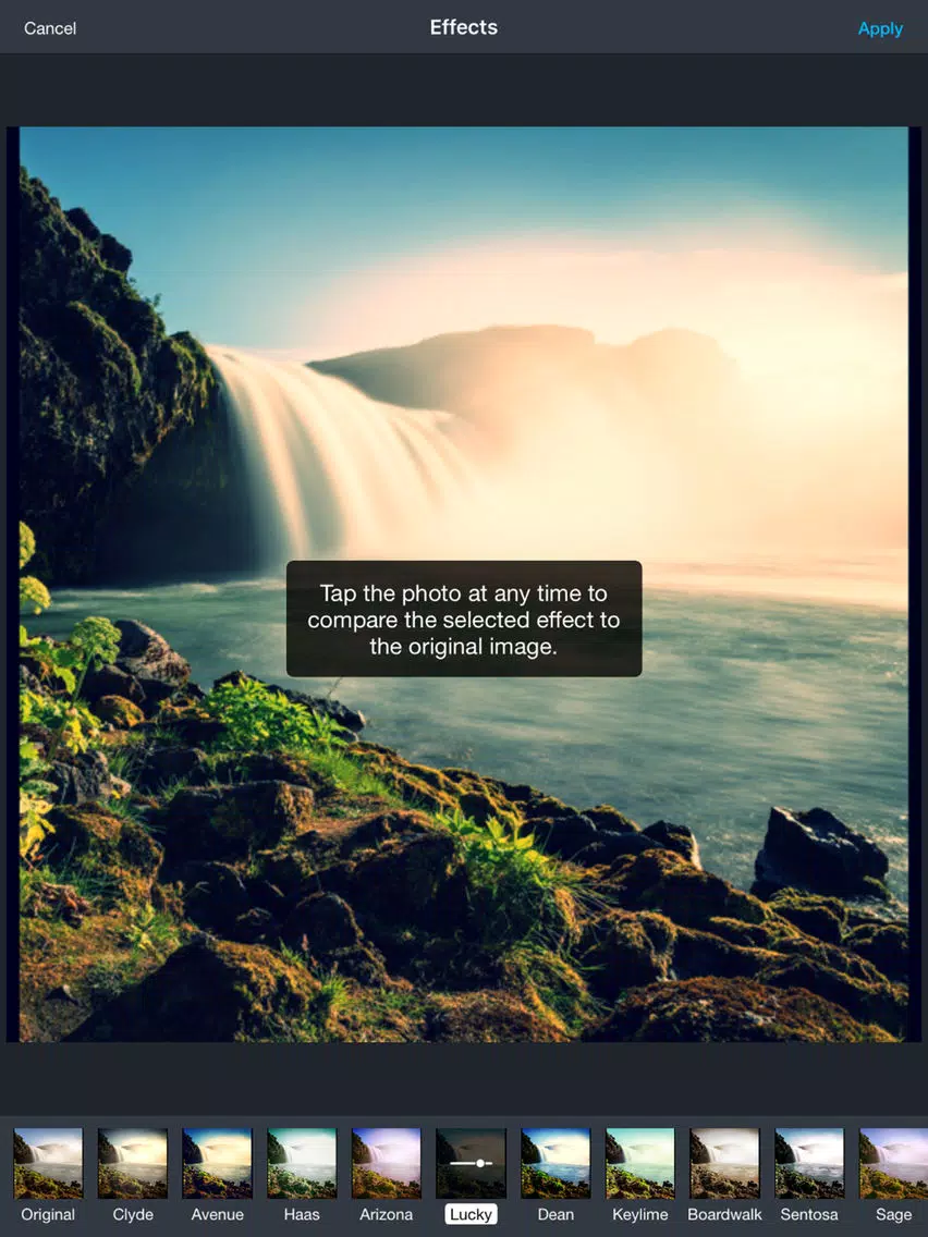 Photo Wizard - Easy photo editor & share iPad  Ekran Görüntüleri