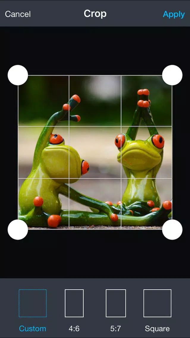 Photo Wizard - Easy photo editor & share Ekran Görüntüleri