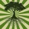 Poetree ¶ Social Poetry ¶ Let Your Words Take Root