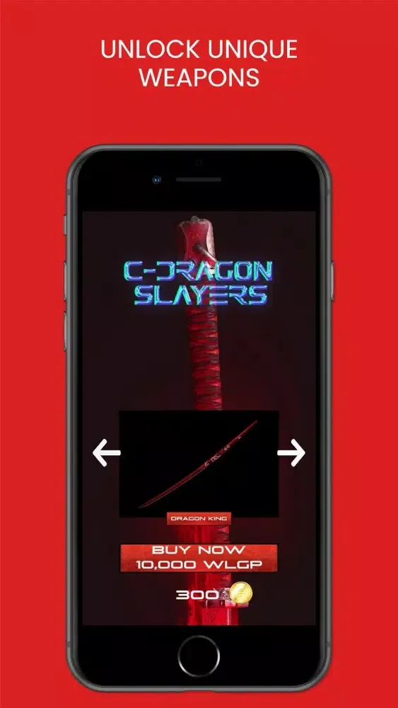 C-Dragon Slayers Ekran Görüntüleri