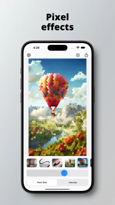 ภาพหน้าจอของ Point Blurr Background Filter