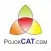 PojokCAT