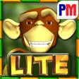 Monkey Money Slots LITE