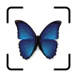 Bug IdentifierーIdentify Insect Bug IdentifierーIdentify Insect