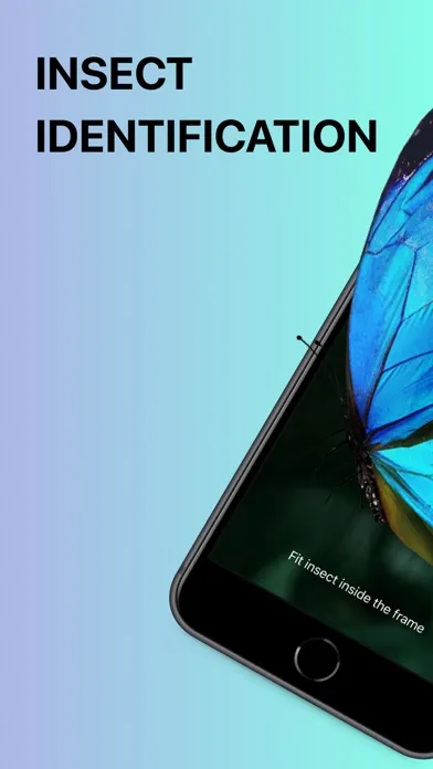 Ảnh chụp màn hình của Bug IdentifierーIdentify Insect