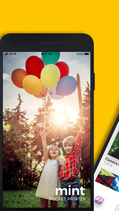 تصاویر Mint Printer