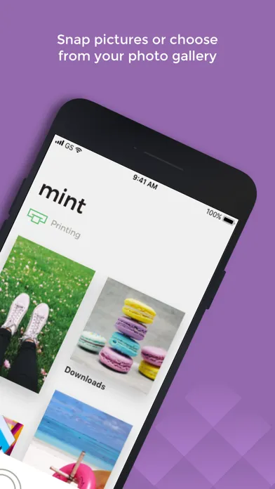 تصاویر Mint Printer