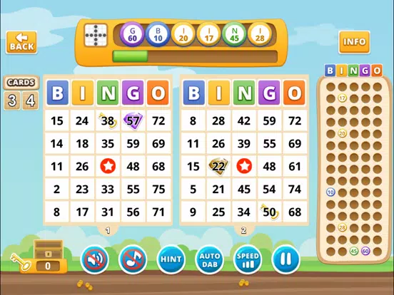 Tangkapan skrin Bingo by Michigan Lottery iPad 