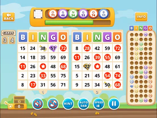 Tangkapan skrin Bingo by Michigan Lottery iPad 