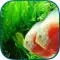 Tanked Aquarium 3D - Relaxing Tropical Scenes with Coral Reef, Sharks & Fish Tank