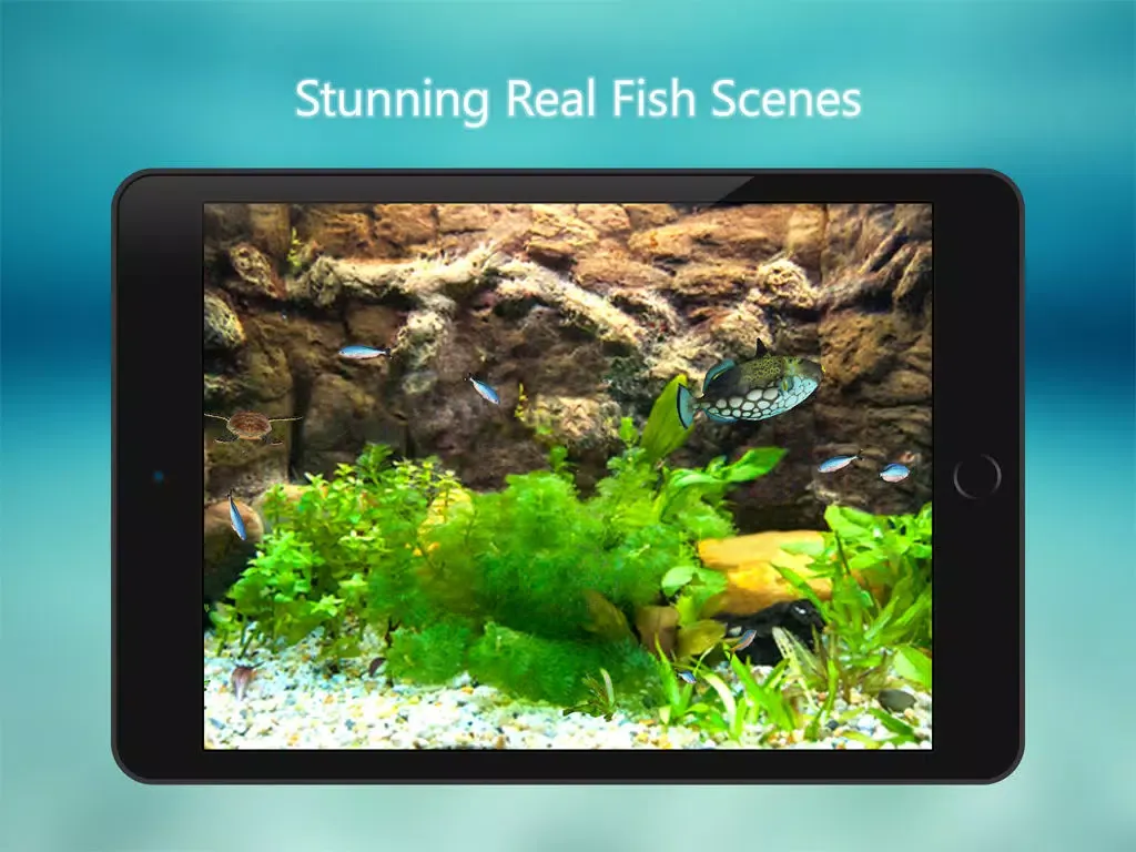 Tanked Aquarium 3D - Relaxing Tropical Scenes with Coral Reef, Sharks & Fish Tank iPad Screenshots