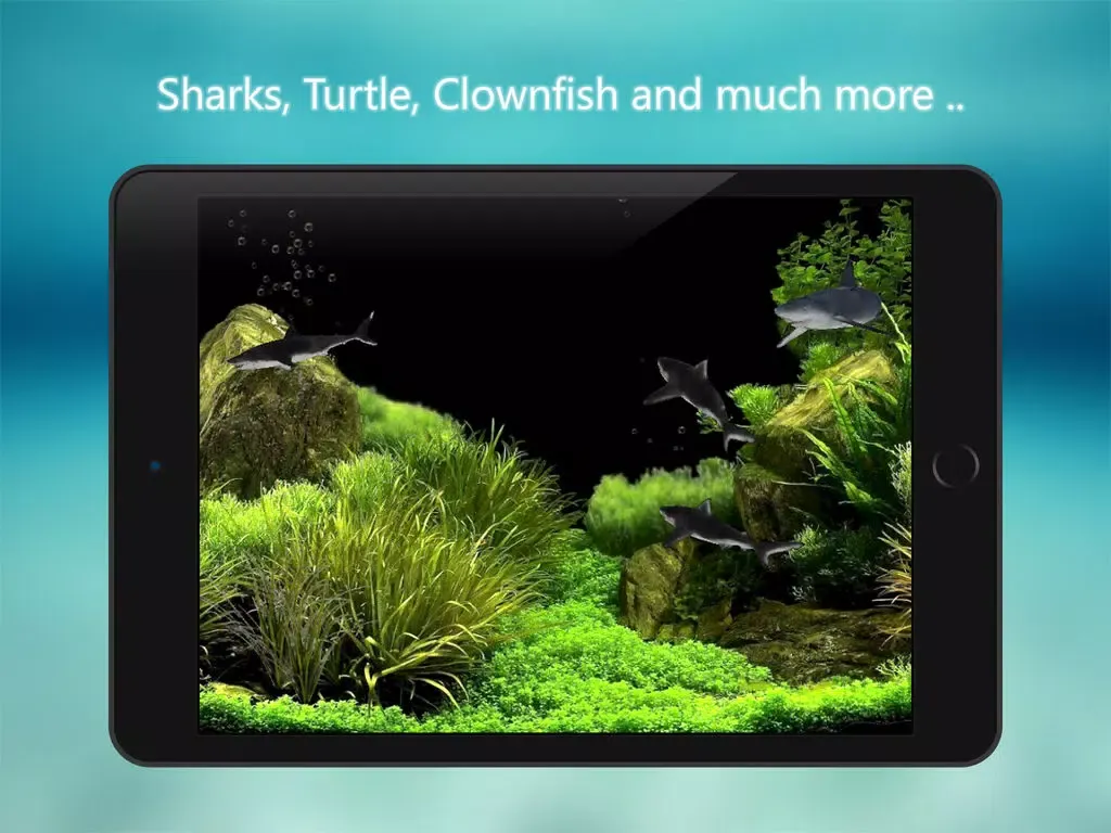 Tanked Aquarium 3D - Relaxing Tropical Scenes with Coral Reef, Sharks & Fish Tank iPad Screenshots