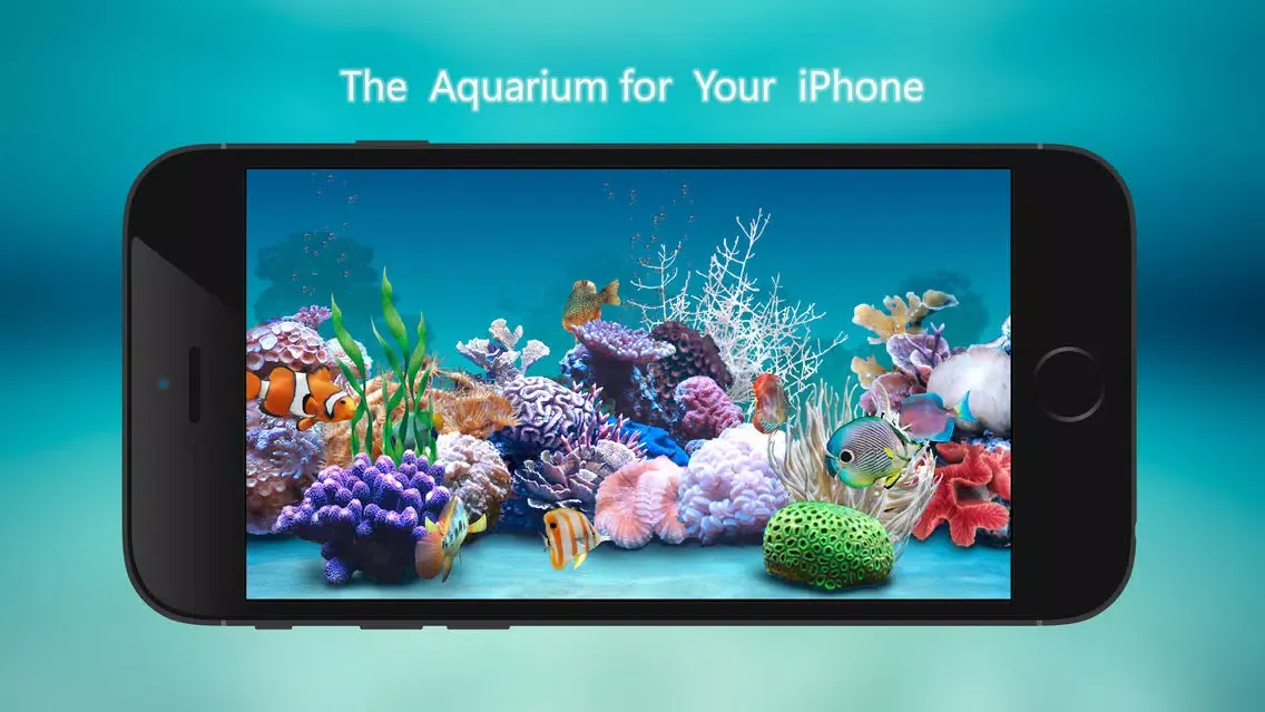 Tanked Aquarium 3D - Relaxing Tropical Scenes with Coral Reef, Sharks & Fish Tank Screenshots