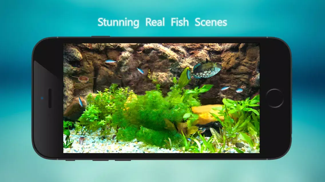 Tanked Aquarium 3D - Relaxing Tropical Scenes with Coral Reef, Sharks & Fish Tank Screenshots