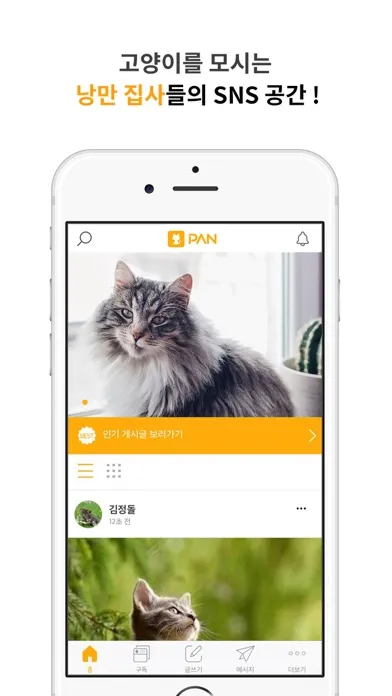 고양이 판 - 낭만 집사 SNS 스크린샷