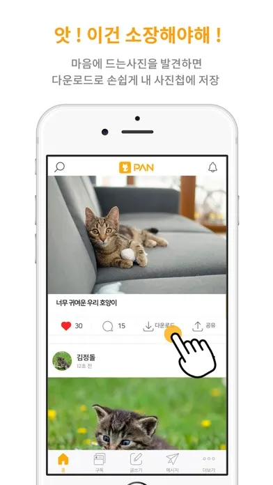 고양이 판 - 낭만 집사 SNS 스크린샷