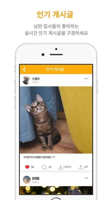 고양이 판 - 낭만 집사 SNS 스크린샷
