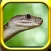 Snake Rampage - A Snake Game