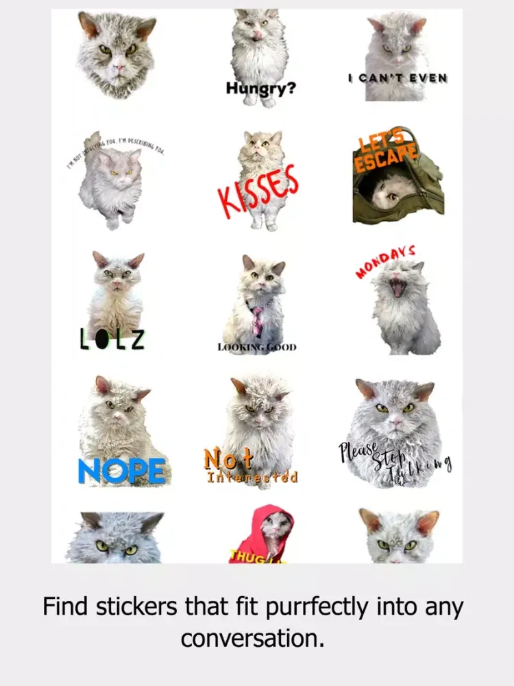 Pompous Albert - Cat Stickers iPad 应用截图