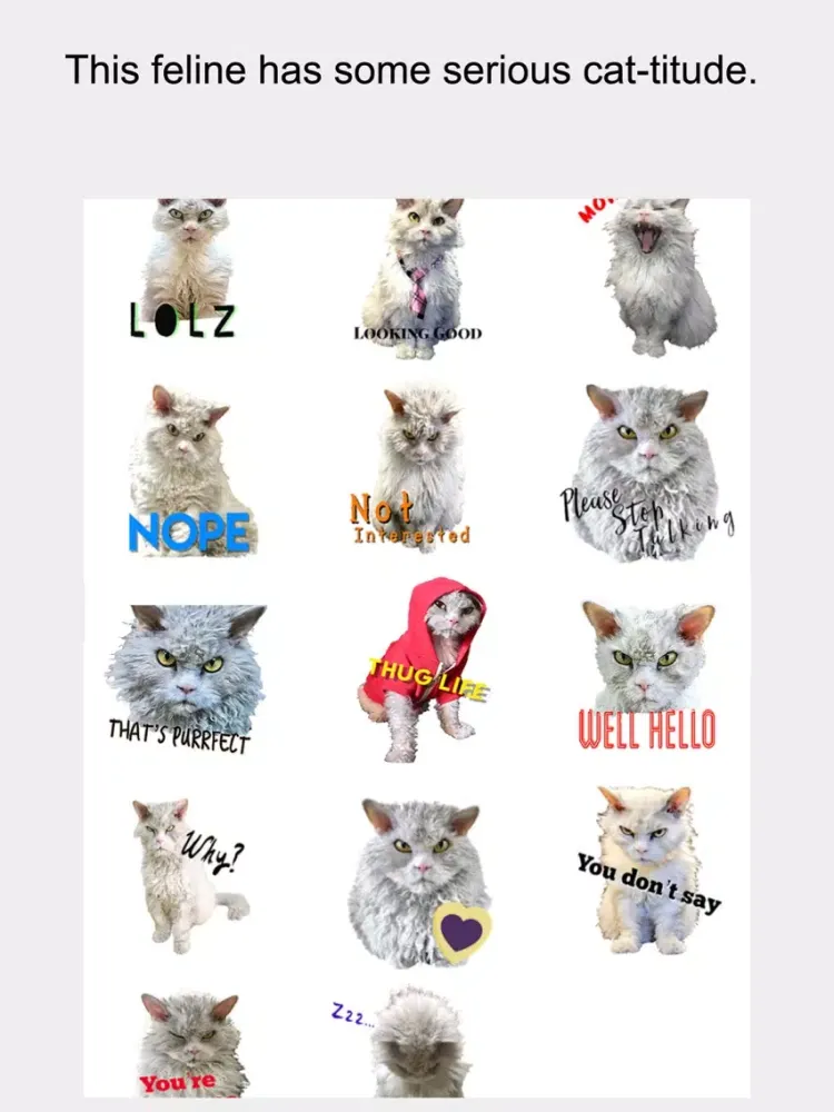 Pompous Albert - Cat Stickers iPad 应用截图