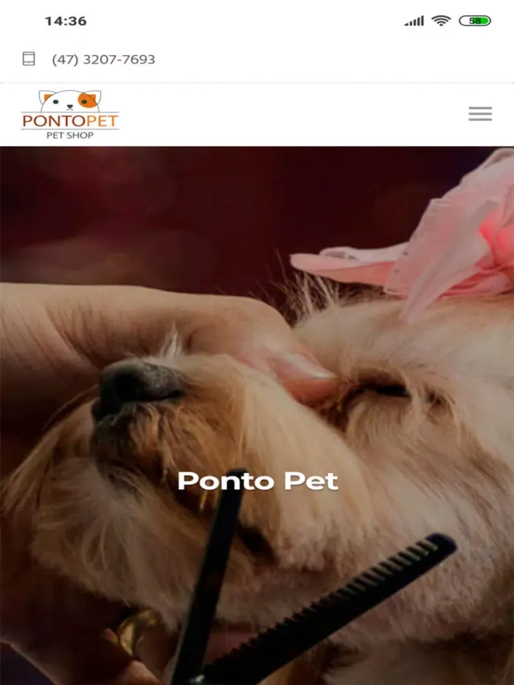 صور PetShop Ponto Pet Joinville iPad 