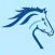 Pony Express Car Wash