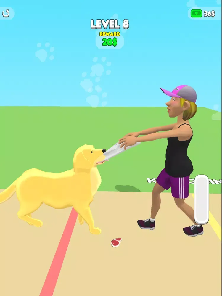 Скриншоты Dog Hotel iPad 