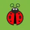 Ladybug!
