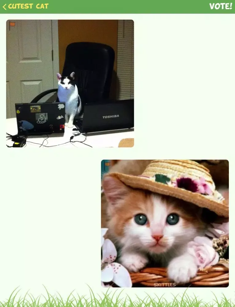 Tangkapan skrin Furry Faceoff - Pet Photo Contests iPad 