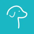 Pooch Dating Pooch Dating