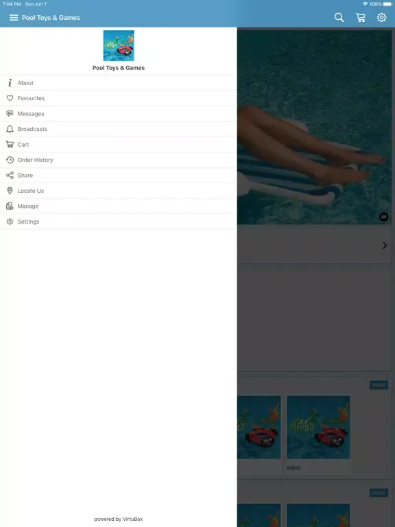 Captures d'écran de Pool and Spa Toys iPad 
