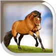 Horses Live Wallpaper