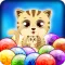 Pop Cat - Bubble shooter game