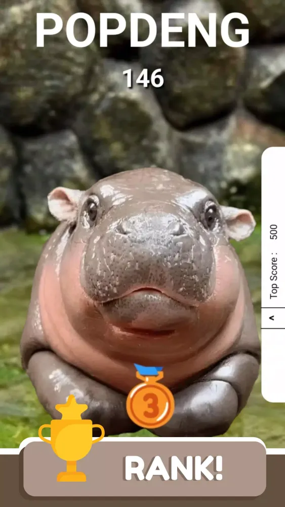 POPDENG應用截圖