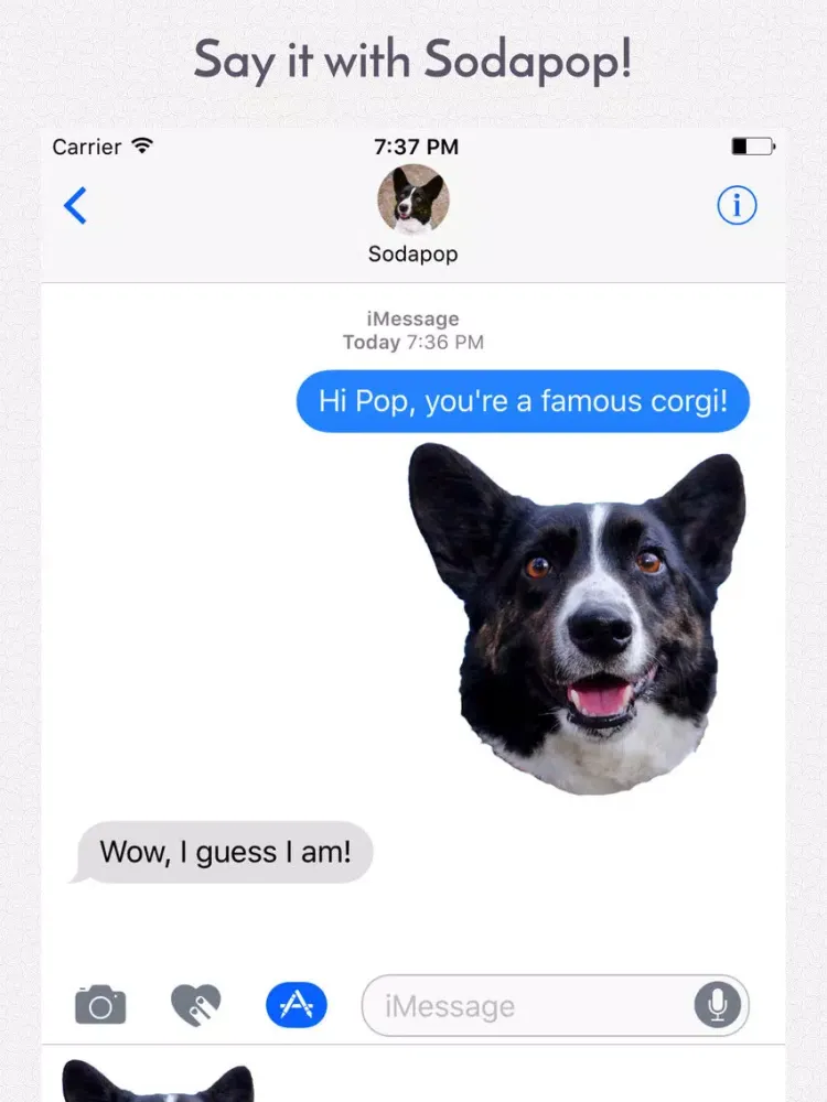 Sodapop the Corgi Stickers iPad  Ekran Görüntüleri