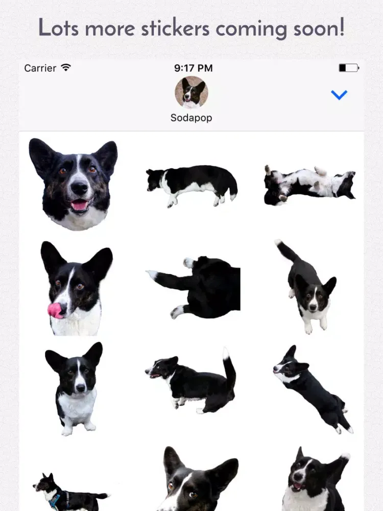 Sodapop the Corgi Stickers iPad  Ekran Görüntüleri