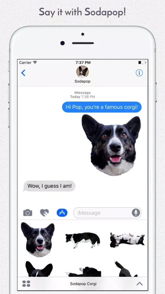 Sodapop the Corgi Stickers Ekran Görüntüleri